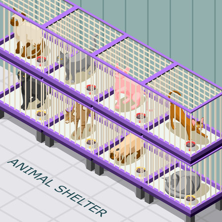 Cat shelter isometric background with animals on various breeds in cages with feed vector illustrationのイラスト素材