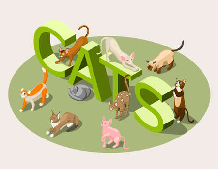 Purebred cats of various breeds and green typographic 3d lettering isometric background vector illustrationのイラスト素材