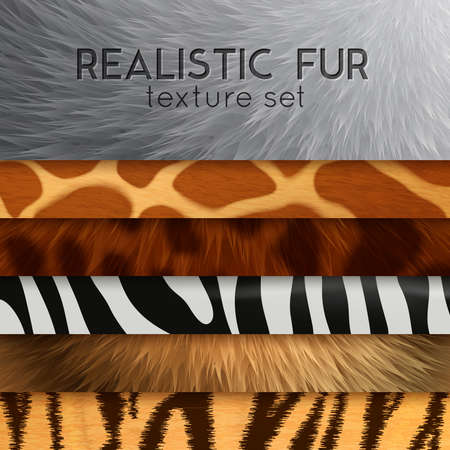 Collection of fur texture six horizontal elements with abstract various colored patterns in...