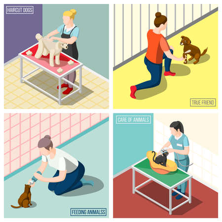 Women volunteers during feeding animals, washing cats, grooming dog isometric design concept isolated vector illustrationのイラスト素材