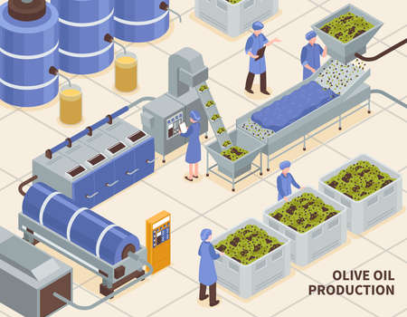 Olive oil production modern automated facility line isometric composition with collected fruit pressing extraction process vector illustrationのイラスト素材
