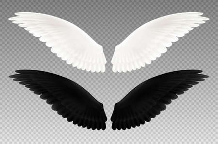 Set of realistic black and white pair of wings on transparent background as symbol of good and evil isolated vector illustrationのイラスト素材
