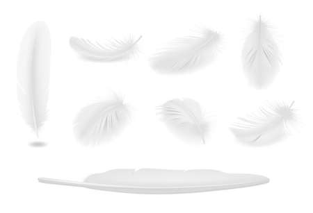 White clean bird feathers realistic set isolatedのイラスト素材