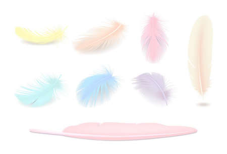 Colored elegant bird feathers realistic set isolatedのイラスト素材