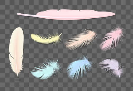 Colored bird feathers realistic transparent set isolatedのイラスト素材