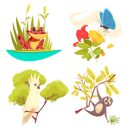 Animals jungle design concept with frog in reeds, butterfly on flower, parrot and sloth isolated vector illustrationのイラスト素材