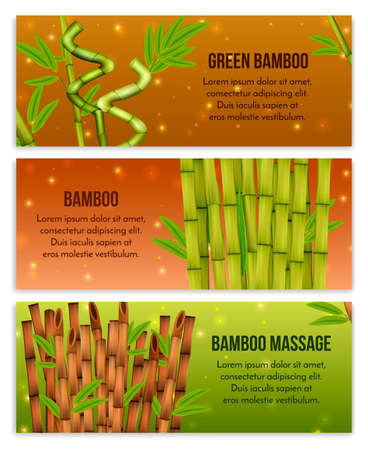 Green bamboo interior decorative elements and hollow canes massage tools 3 realistic horizontal banners isolated vector illustrationのイラスト素材