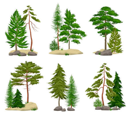 Set of realistic pine forest elements with conifer trees soil and boulders isolated vector illustrationのイラスト素材