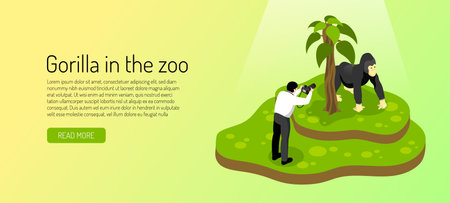 Visitor to zoo during photographing gorilla on yellow green background horizontal banner isometric vector illustrationのイラスト素材