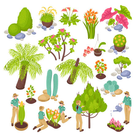 Isometric botanical garden greenhouse set with isolated images of various plants trees and flowers with people vector illustrationのイラスト素材