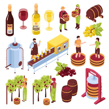 Winery isometric set vineyard with harvest pressing of grapes bottling conveyor drink in goblets isolated vector illustrationのイラスト素材