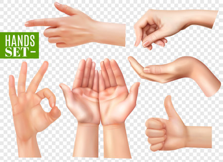 Human hands gestures realistic images set with pointing finger ok sign thumb up transparent background vector illustrationのイラスト素材