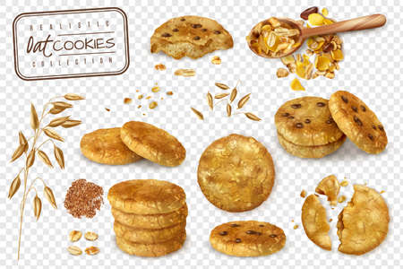 Realistic collection of oat cookies whole and halves isolated on transparent background  vector illustrationのイラスト素材