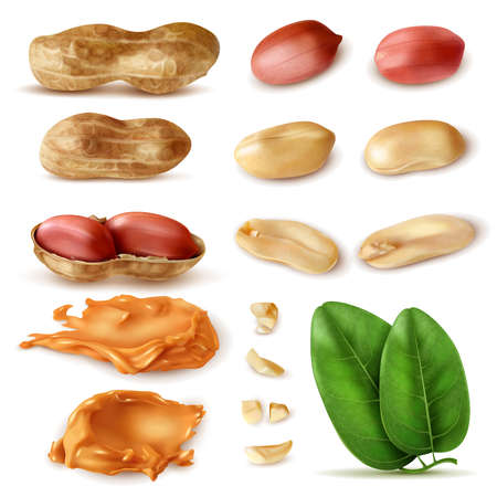 Realistic peanut set of isolated images of beans in shell with green leaves and peanut butter vector illustrationのイラスト素材
