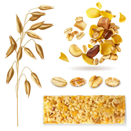 Realistic muesli set of isolated images with cereal plant beans and ready breakfast granola mix vector illustrationのイラスト素材