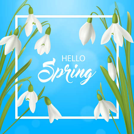 Realistic snowdrop flower hello summer poster background with flat frame ornate text and natural spring flowerage vector illustrationのイラスト素材