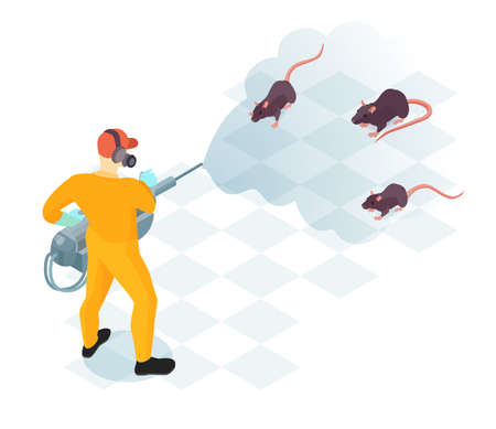 Worker of pest control service with professional equipment during domestic disinfection from rodents isometric vector illustrationのイラスト素材
