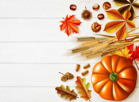 Thanksgiving day stylish composition with autumn colors and different pumpkins set on white background vector illustrationのイラスト素材