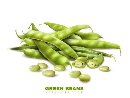 Fresh green organic beans cut and whole pods close up realistic image healthy food advertisement vector illustrationのイラスト素材