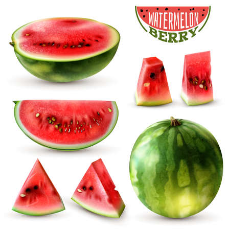 Realistic watermelon images set with whole berry half wedges slices and bite size pieces isolated vector illustrationのイラスト素材