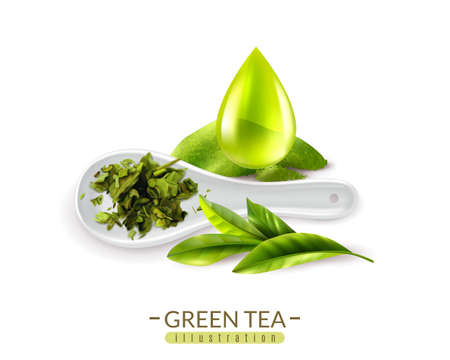 Realistic green tea background with text and images of fresh green tea leaves spoon and drop vector illustrationのイラスト素材