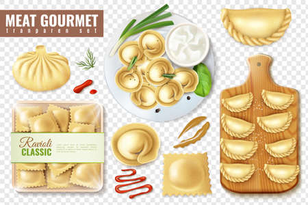 Set of realistic meat gourmet food on transparent background with isolated images of dumplings and ravioli vector illustrationのイラスト素材