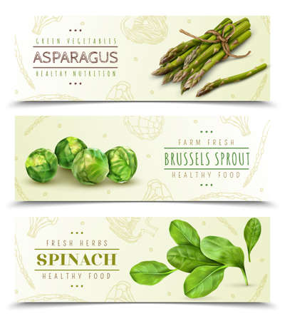 Farm fresh green leafy vegetables 3 realistic horizontal banners set with spinach asparagus brussels sprouts vector illustrationのイラスト素材