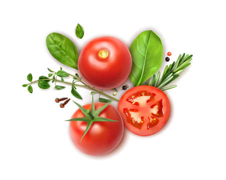 Fresh tomatoes whole and slices realistic composition with basil oregano rosemary herbs aromatic clove spice vector illustrationのイラスト素材