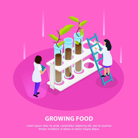 Growing of artificial food isometric composition with sprouts in laboratory beakers on pink background vector illustrationのイラスト素材