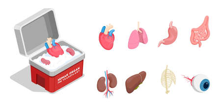 Isometric icons set with different donor human organs for transplantation isolated on white background 3d vector illustrationのイラスト素材