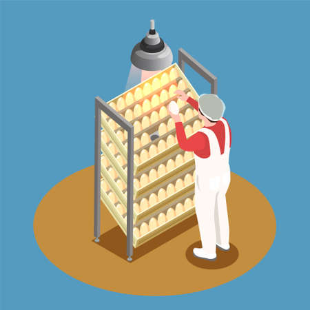 Chicken farm isometric design concept with incubator rack and employee looking through chicken eggs vector illustrationのイラスト素材