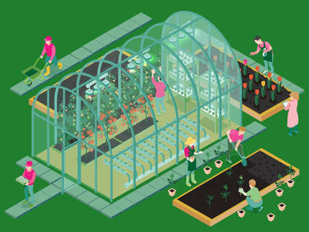 Greenhouse production isometric composition with glasshouse facility workers planting seedlings growing flowers vegetables hydroponic system vector illustrationのイラスト素材