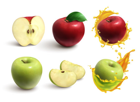 Realistic set of whole and cut juicy red and green apples isolated on white background vector illustrationのイラスト素材