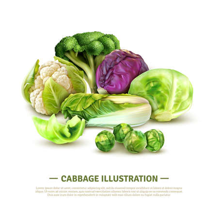 Realistic composition with white cabbage and scotch kale heads chinese leaves brussels sprouts broccoli and cauliflower vector illustrationのイラスト素材