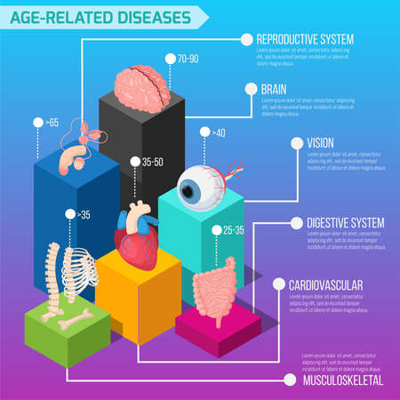 Age related human diseases infographics layout with statistic of defeat of internal organs and biological systems isometric vector illustrationのイラスト素材