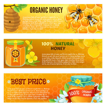 Three horizontal honey banner set with descriptions of organic honey natural honey vector illustrationのイラスト素材