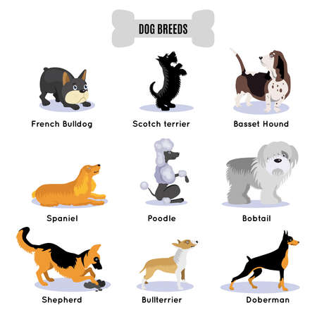 Dogs breed colored isolated icon set dogs perform a command or posing vector illustrationのイラスト素材