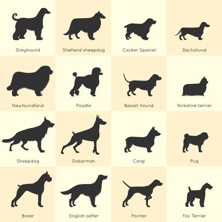 Silhouettes of different dogs breeds icon set with detailed description of appearance and character vector illustrationのイラスト素材
