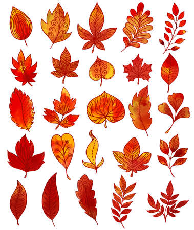 Autumn foliage hand drawn collection with red yellow leaves and twigs of different shape isolated vector illustrationのイラスト素材