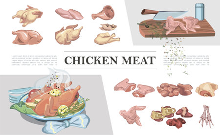 Colorful chicken meat composition with legs breast feet ham wings fillet thigh heart liver knife on cutting board roasted chicken vector illustrationのイラスト素材