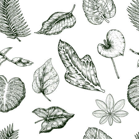 Tropical plants seamless pattern with branches and leaves of different shape hand drawn vector illustrationのイラスト素材
