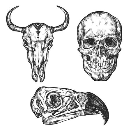 Black isolated hand drawn different types skull icon set on white background vector illustrationのイラスト素材