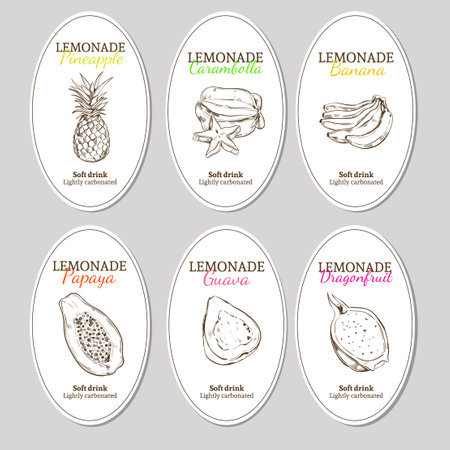 Hand drawn refreshing lemonade labels set with exotic and tropical natural fruits isolated vector illustrationのイラスト素材