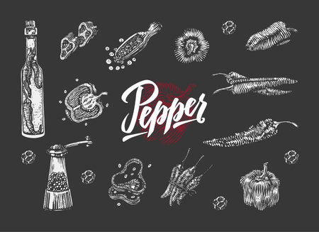 Chili pepper elements collection of different variations in hand drawn style on dark background isolated vector illustrationのイラスト素材