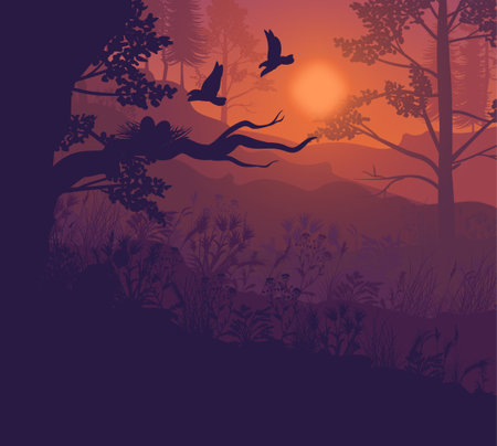 Sunrise forest landscape background with trees plants and birds flying to nest on tree branch vector illustrationのイラスト素材
