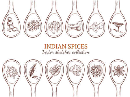 Sketch organic indian spices set with natural seasonings and condiments on spoons isolated vector illustrationのイラスト素材