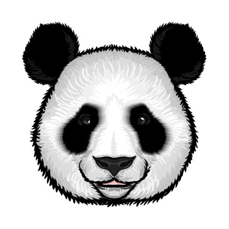 Cute fluffy panda face in hand drawn style on white background isolated vector illustrationのイラスト素材