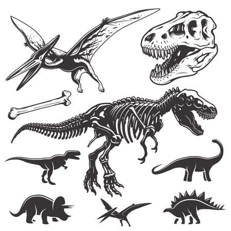 Set of monochrome dinosaurs. Archeology elements. T-rex skull and skeleton. Dinosaurs icons.のイラスト素材