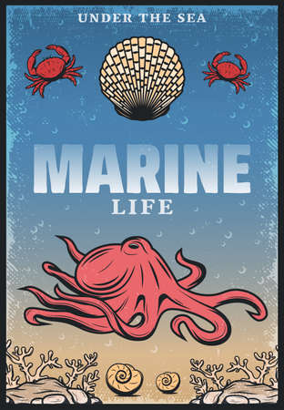 Vintage colored sea life poster with inscription octopus crabs seashells and seaweeds vector illustrationのイラスト素材