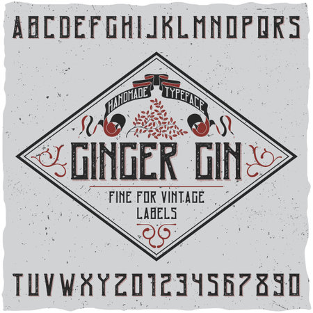 Ginger gin typeface poster with decoration on simple label design vector illustrationのイラスト素材
